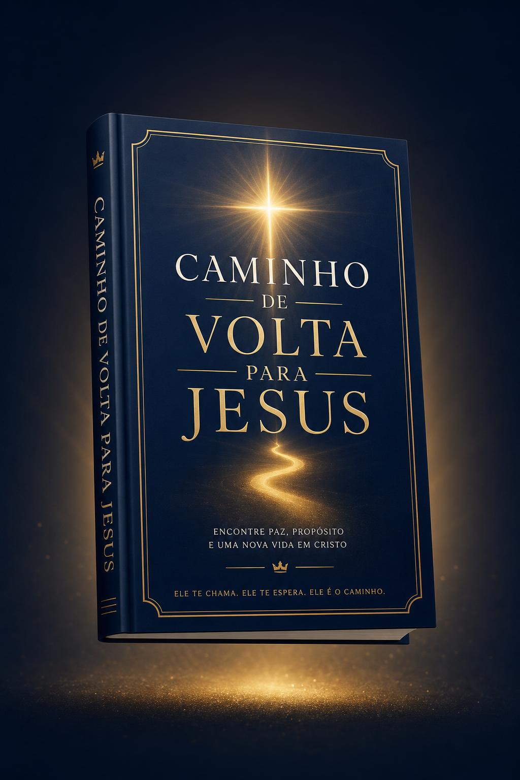 Capa do ebook Caminho de Volta para Jesus
